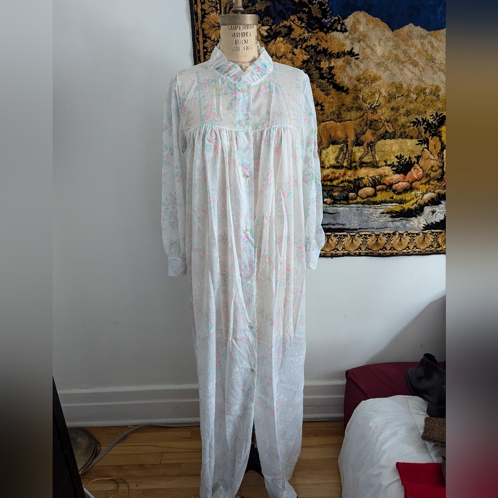 Vintage sheer sleepwear
